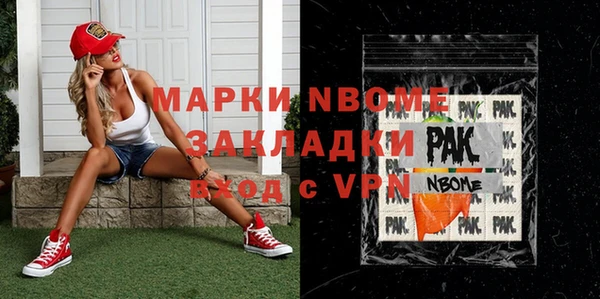 индика Струнино